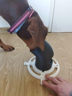 modular Hund Duft Geruch Ausbildung Haustier Tier Tiere Polizei Natur drucken Hündchen Eckzahn Hobby DIY 3d print model - Mito3D