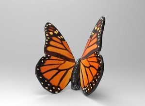 monarch butterfly art fly animal wings beautiful colored other 3d print model - Mito3D