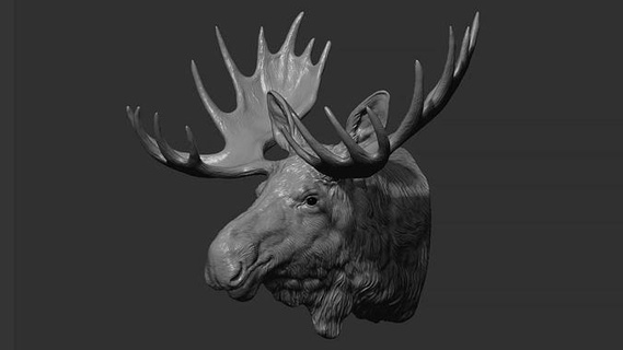geyik baş hayvan heykel doğa memeli Boynuz Sanat minyatür yazdırılabilir büst cnc vahşi 3dprinting şekil hayvanlar heykeller 3d print model - Mito3D