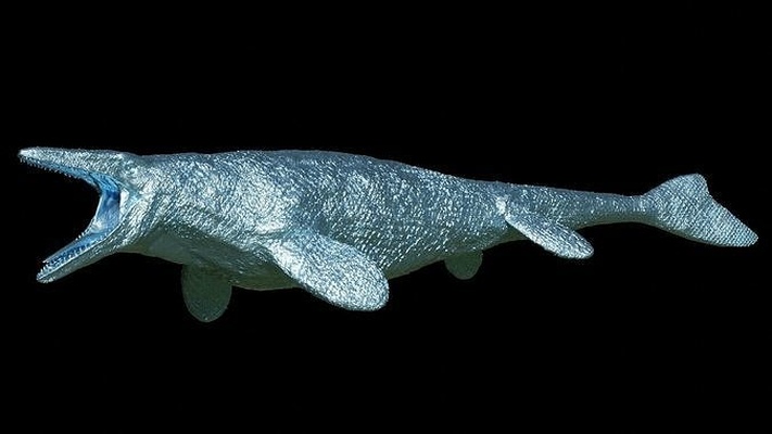 mosasaur jormungandr walhallaensis 3d stl akvaryum hayvan hayvanlar doğa okyanus dinosaurio bilim biyoloji 3d print model - Mito3D