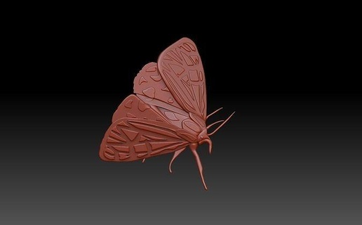 moth butterfly fly bug insect flying nature relierf cnc art 3d print model - Mito3D