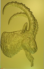 montaña cabra argali animal modelo artcam cnc arte esculturas 3d print model - Mito3D