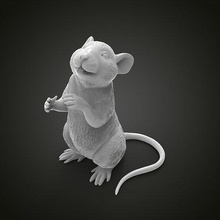 topo ratto animale natura arte scultura gioielleria laboratorio argento carina topi mammifero criceto stampabile 3dprint sculture 3d print model - Mito3D
