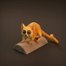 topo lemure 3d stampa animale piccolo carina realistico compagno presupposto supportato fauna selvatica creatura albero natura arte sculture 3d print model - Mito3D