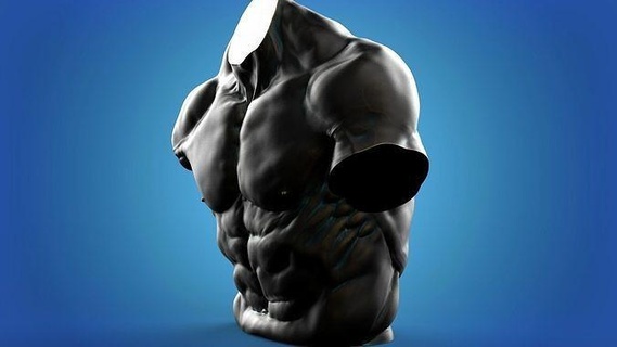 muscle man torso anatomy body human statue art fitness bodybuilding sculpture realism precision detail reference dynamic impressive game painting sculptures 3d print model - Mito3D