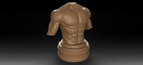 muscular male torso art anatomy sculpture biology human people body statue character science medical sculptures mannequin nude naked 3d print model - Mito3D