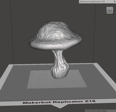 mushroom science figure nature plant biology ambient ground land 3d print model - Mito3D