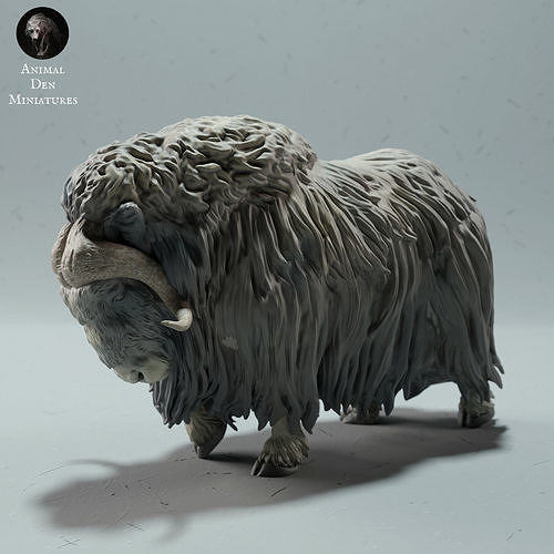 moschus ox tier arktis moschusochse schaf säugetier wild tierwelt kreatur realistisch skulptur figur zahl miniatur winter tundra schnee weiß vieh bauernhof ram kunst skulpturen 3D print model - Mito3D