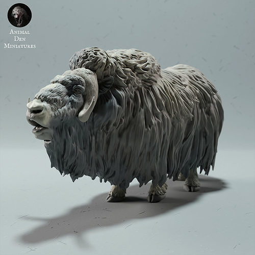 musc ox appel animal Arctique bœuf musqué mouton mammifère sauvage faune créature réaliste sculpture figurine figure miniature hiver toundra neige blanc bétail ferme RAM art sculptures 3D print model - Mito3D