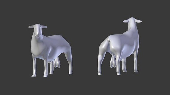 Carne cordero granja salvaje imprimible oveja RAM animal cabra Arte esculturas 3d print model - Mito3D