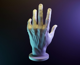 ma main art la personnes corps de l'homme doigt le pouce sculptures statue les ongles doigts paume membre 3d print model - Mito3D
