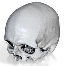 myskull science skull cranium anatomy cranial science biology