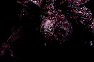 sibilou colecionador modelo 3dprinting residente arte sangue fumaça sombrio vermelho monstro pintura criatura estrangeiro horror fantasia preto demônio mistério inferno jogos brinquedos 3d print model - Mito3D