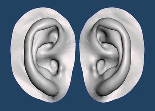 natural human ear anatomy 09 face sculpture maxillofacial anaplastology auricular art scans replicas 3d print model - Mito3D