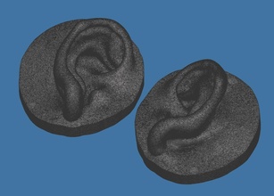 Naturel Humain oreille anatomie 10yrs garçon tête visage prothèse épithèse combiné science biologie 3d print model - Mito3D