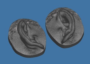 natural humano orelha anatomia esquerda cabeça escultura corpo aurícula Ciência biologia 3d print model - Mito3D