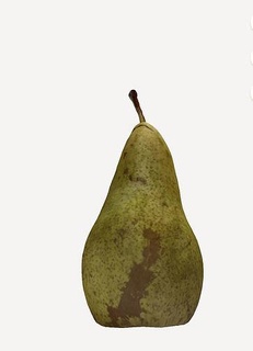 natural pear fruit scanned 3d model realistic lifelike details textures imperfections still life educational augmented reality high resolution animation virtual design science photography beauty house kitchen dining 3d print model - Mito3D