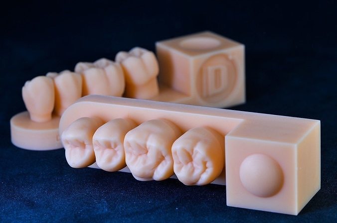 natural teeth - 3d print model anatomy dental cavity composite class 2 arch upper lower tooth quadrant science biology dentist dentistry incisor orthodontist 3D print model - Mito3D