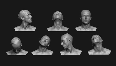 cuello anatomía referencia conjunto base cuerpo humano esculpir masculino cara garganta músculos cabeza huesos artista personaje clavícula dibujo nariz ecorche arte escaneos réplicas 3d print model - Mito3D