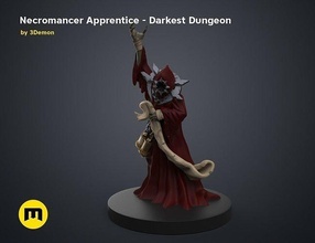 necromancer apprentice dnd figure - darkest dungeon mage acolyte dragons boardgame tabletop boss sorcerer summoner roleplay wizard magician witchcraft disciple witchery games toys board 3d print model - Mito3D