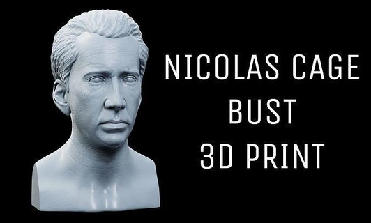 nicolas cage bust art statue sculpture figure head man character niccage nicolascage 3d 3dprint 3dprinting celebrity likeness realistic moviestar sculptures 3d print model - Mito3D