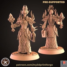 nightborne elf female priest elves wow warcraft dnd miniature model resin pre supported fantasy printing hunter archer night games toys board 3d print model - Mito3D