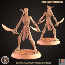 nightfallen elf female rebel daggers night elves rogue dnd miniature model resin printing pre supported games toys board 3d print model - Mito3D