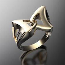 ninaring jewelry gold precious silver jewel ring rings 3d print model - Mito3D