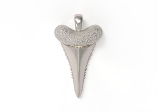 nn015 jewelry sharktooth tooth pendant shark design pendants 3d print model - Mito3D