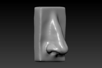 nariz 3d modelo Arte zbrush anatomía humano escultura cara cuerpo esculturas 3d print model - Mito3D