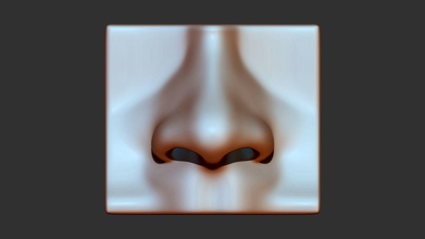 nez 3d impression modèle crâne visage anatomie tête odeur imprimable corps humain zbrush art sculptures science biologie 3d print model - Mito3D