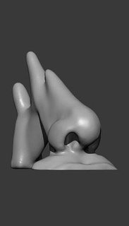 burun model modeli anatomi nose3d 3dnose Sanat heykeller 3d print model - Mito3D