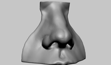 Nase Modell Zeichen Mensch Menschen Kopf Gesicht zbrush ztool 3dprint bedruckbar ist Kunst Skulpturen 3d print model - Mito3D