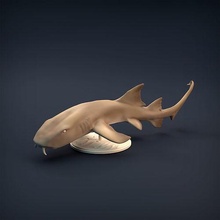 enfermeira Tubarão 3d impressão animal peixe água oceano predador escultura figura miniatura estátua animais selvagens brinquedo arte mar natureza esculturas 3d print model - Mito3D