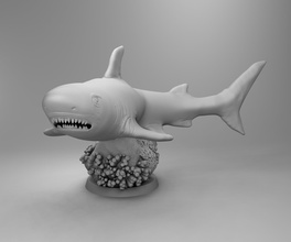 oceano squalo natura acqua mare fauna selvatica predatore pesce 3dprinting 3dprintmodel scienza biologia 3d print model - Mito3D