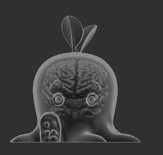 polpo cervello fillmodel pianta carina arte 3d print model - Mito3D