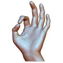ok ok, sinal de mão masculina - modelo 3d impressão a arte do sexo masculino homem tudo bem figura o corpo sinais logotipos 3d print model - Mito3D