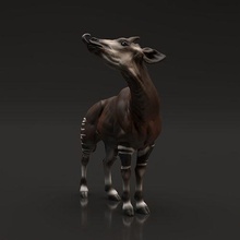 okapi 3d impresión animal jirafa fauna silvestre áfrica criatura realista compañero caballo dnd escultura figura figurilla miniatura diorama juguete naturaleza estatua safari cebra arte esculturas 3d print model - Mito3D