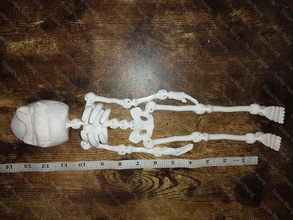 oogie boogie articulating skeleton jack skellington skull sally nbc nightmare christmas games toys zero 3d print model - Mito3D