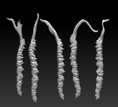 ophiocordyceps sinensis cordyceps gusano medicinal hongos ciencias salud biología naturaleza medicamento 3d print model - Mito3D