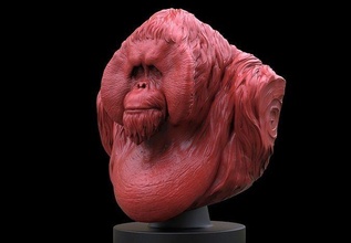 orangutan bust king kong monkey ape jungle book miniatures creatures animals figurines toys chimp art sculptures 3d print model - Mito3D