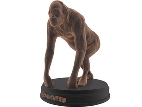 orangutan stampabile art la scimmia ape gorilla primate umana mammifero safari lo zoo wild animale natura di stampa giocattolo i giocattoli vero realistici statua scultura sculture 3d print model - Mito3D
