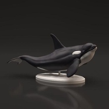 orca 3d printing animal killer whale marine ocean sea predator fish creature companion diorama sculpture figurine figure realistic toy miniature nature art sculptures 3d print model - Mito3D