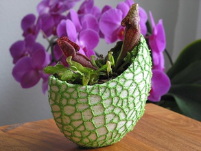 organique 2-couleur pot de fleur - voronoi vase maison déco décor la décoration conception fleurs cadeau l'usine jardinière plantes decorativ art les cadeaux 3d print model - Mito3D