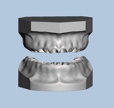 ortho model style base typodont teeth dentistry jaw tooth anatomy dentaltechnology sample science biology 3d print model - Mito3D