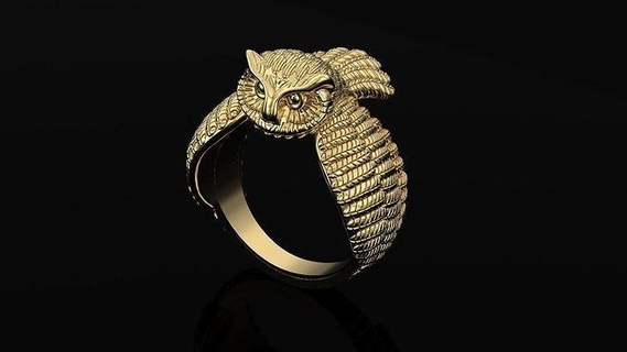 owl hip hop ring night gold oxidize jewelry feather wing jewellery lovebird animal art birdjewelry decoration designer rings printable silver nocturnal 3d print model - Mito3D
