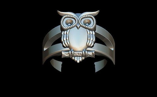 owl ring bird animal jewelry owlring buho anillobuho art animals gold nature printable silver pendant statue sculpture sculptures rings 3d print model - Mito3D
