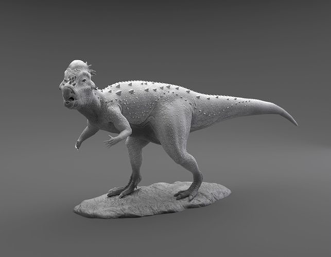 pachycephalosaurus amaçlanan 3d baskı dinozor dino yaratık canavar iguana kertenkele nesli tükenmiş otçul doğa yazdırılabilir tarih öncesi jurassic hayvan minyatür heykelcik sanat heykeller 3D print model - Mito3D