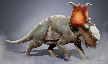 pachyrhinosaurus lakustai dinosaurio prehistórico caminando gigante maya sustancia pintor zbrush arte artista drr esculturas 3d print model - Mito3D