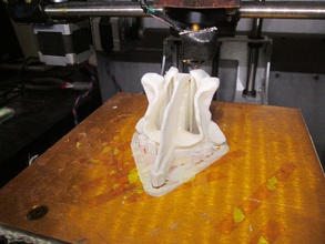 palantines vomer bone ornament symbol vectors business isolated set art science biology 3d print model - Mito3D